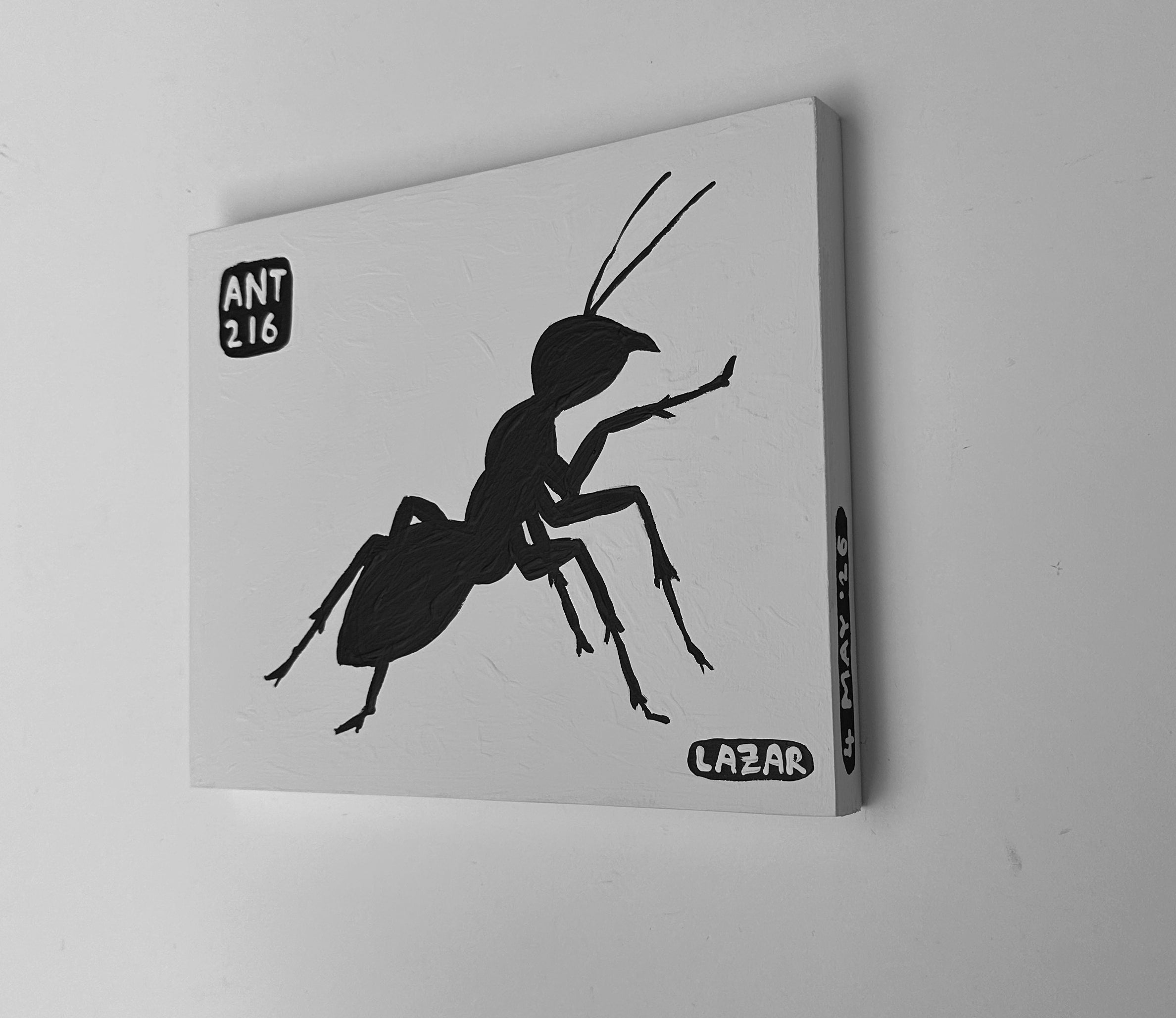 Ant #216