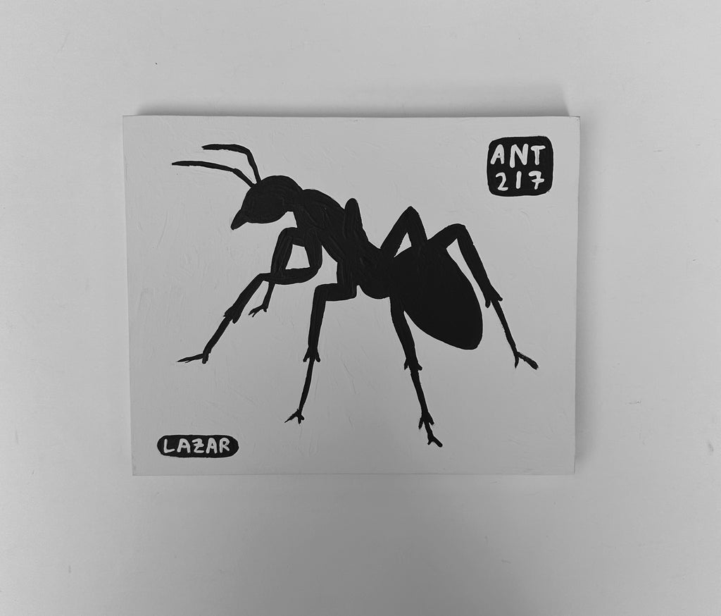 Ant #217