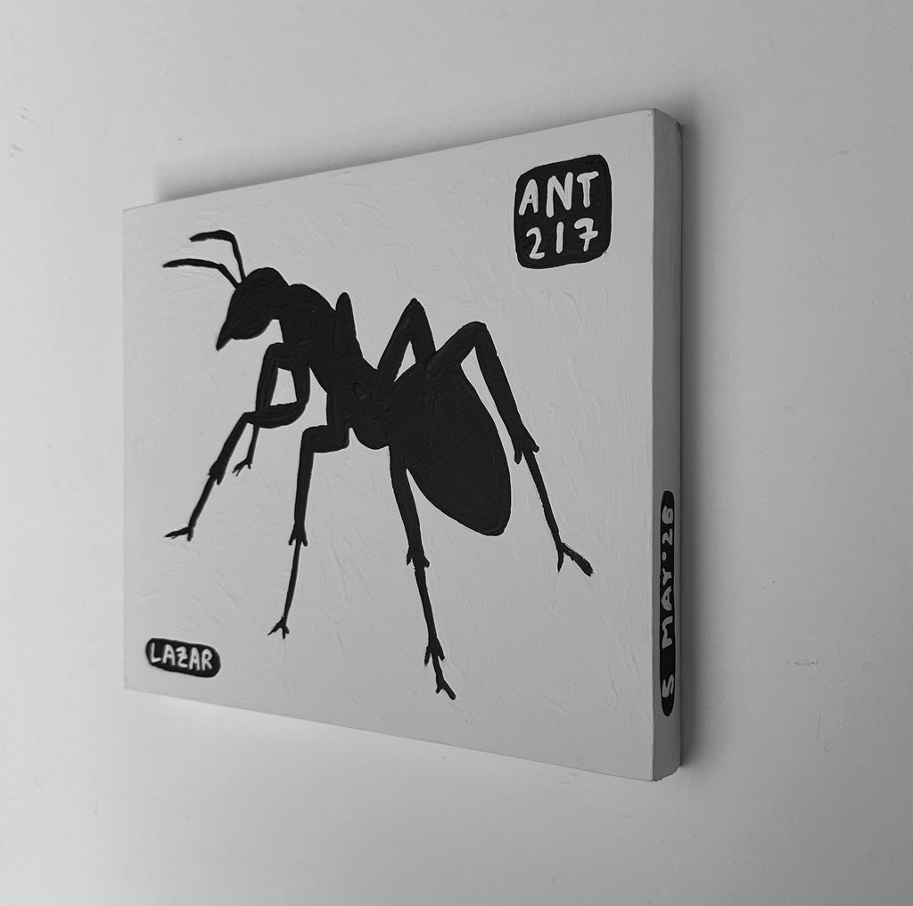Ant #217
