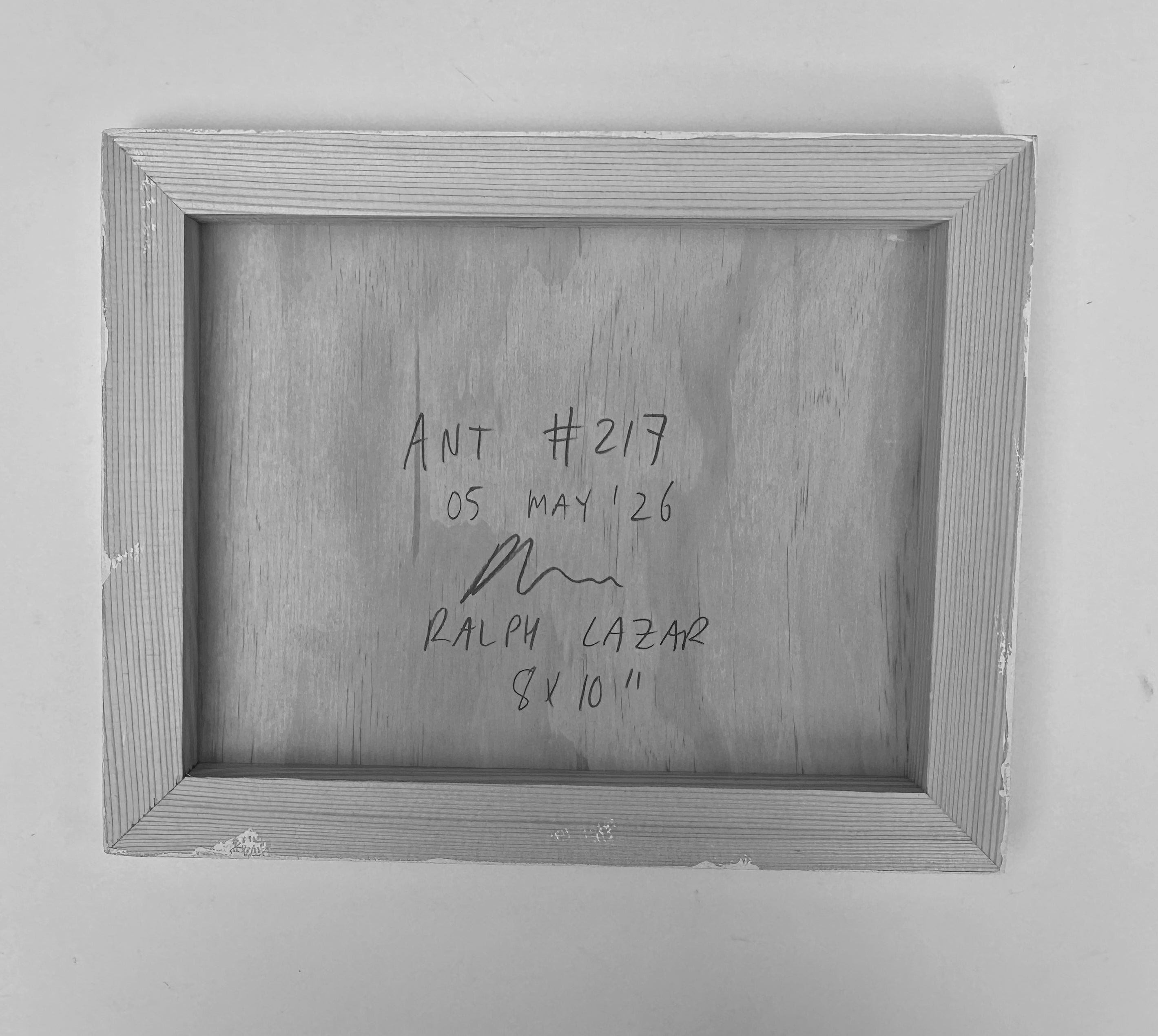 Ant #217