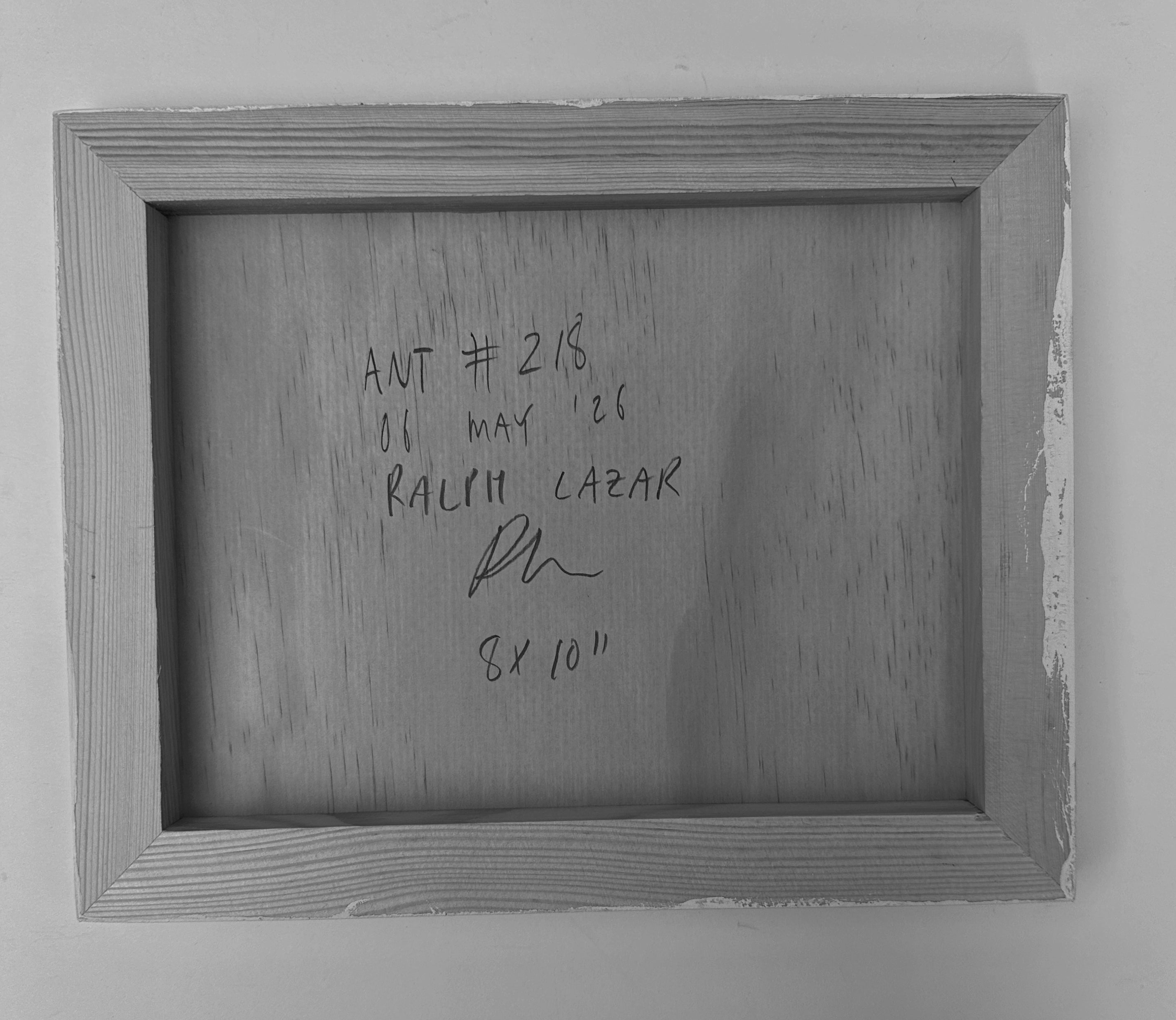 Ant #218