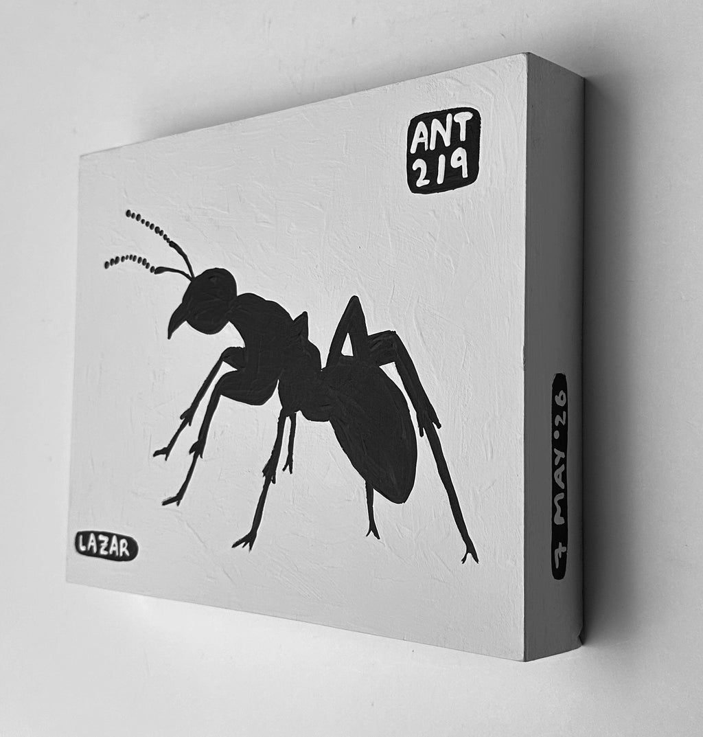 Ant #219