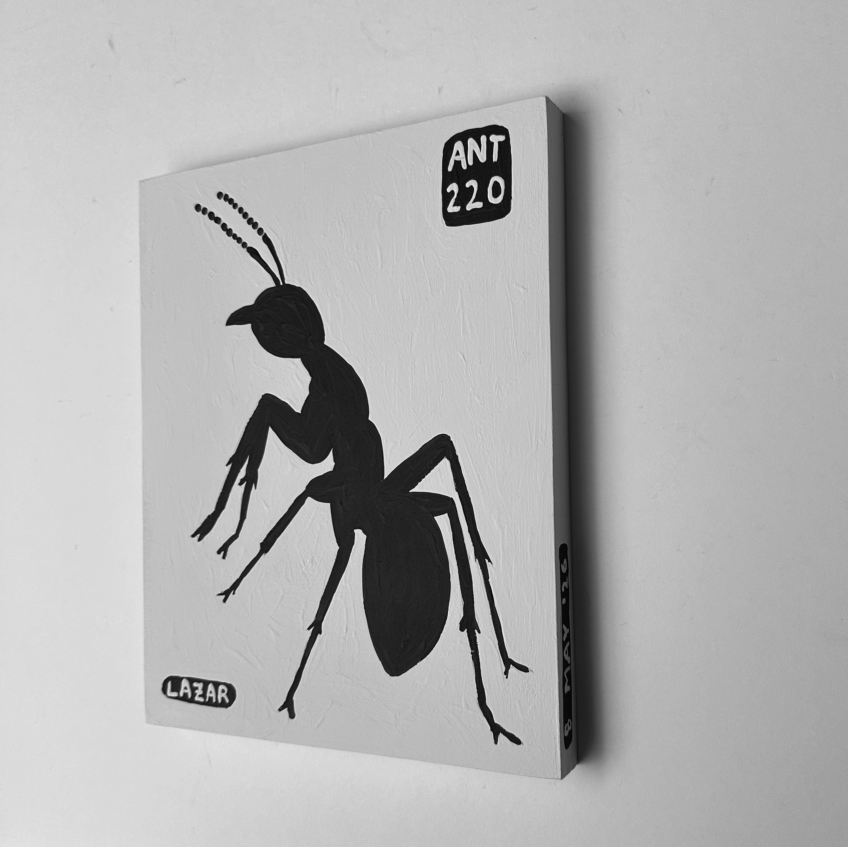 Ant #220