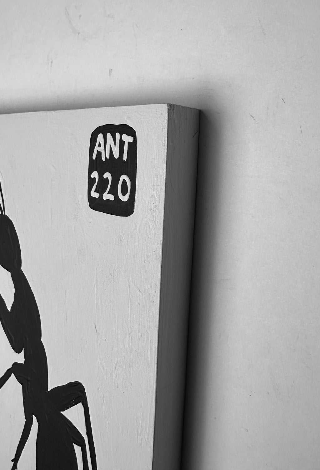 Ant #220