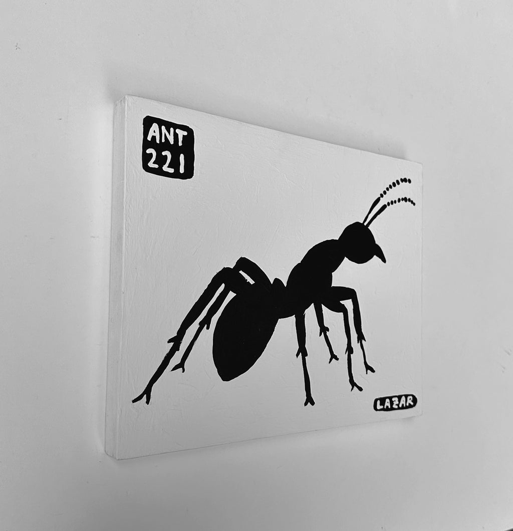 Ant #221