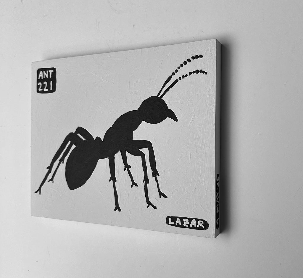Ant #221