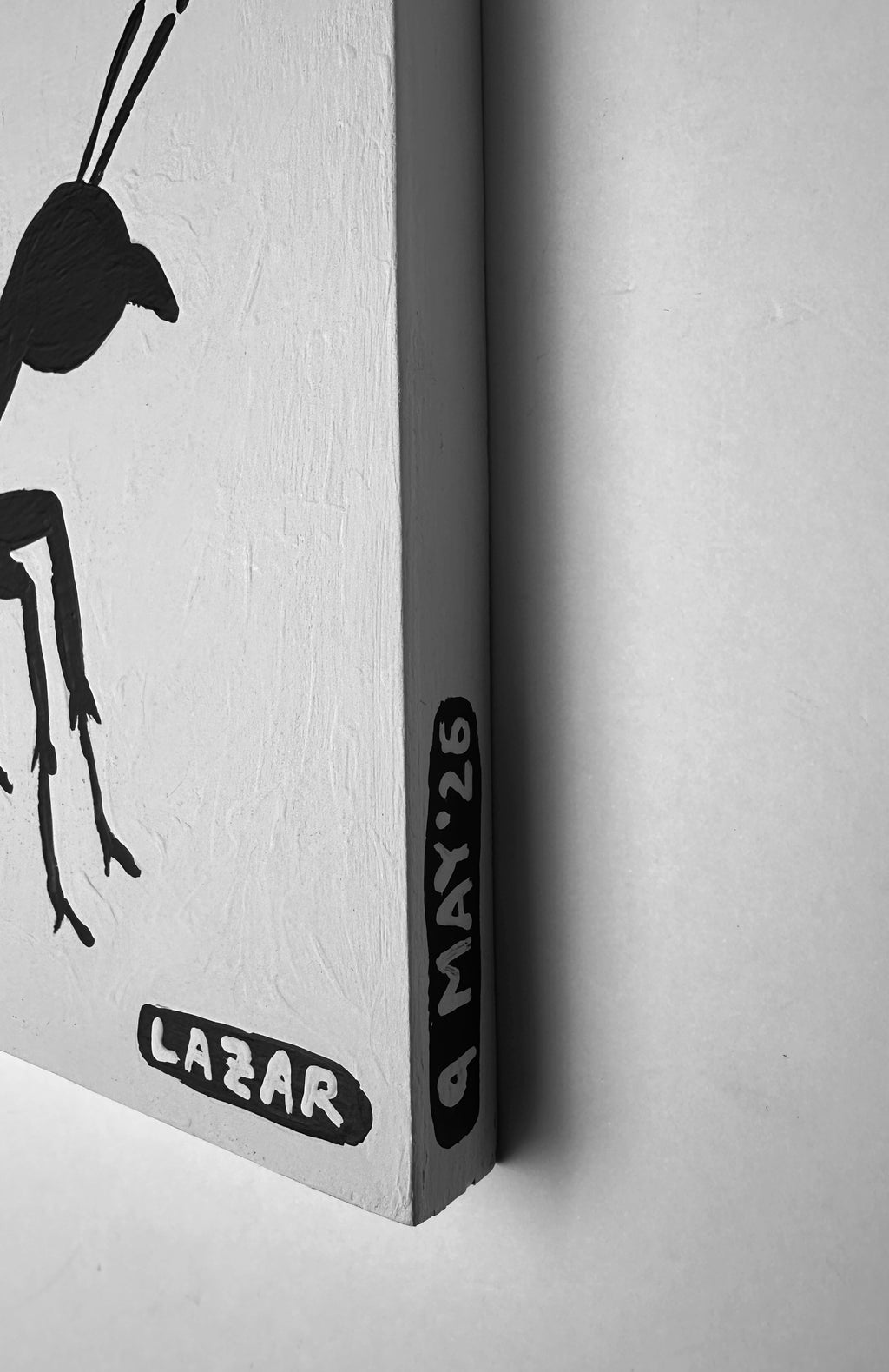 Ant #221