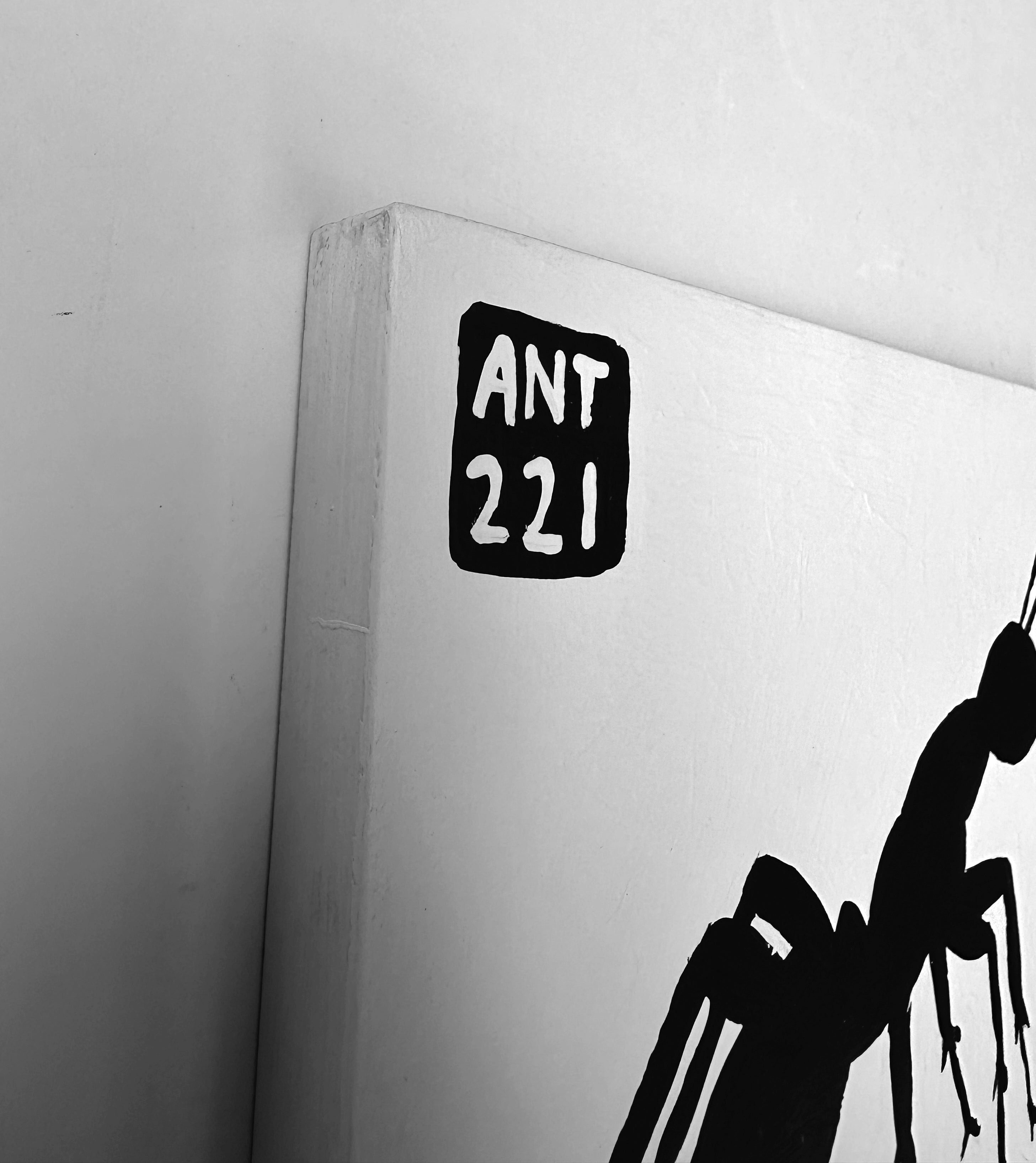 Ant #221