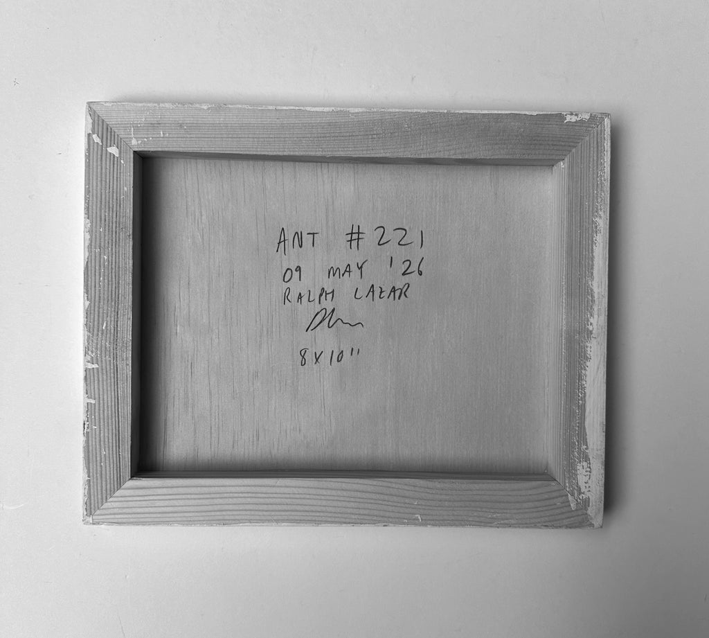 Ant #221