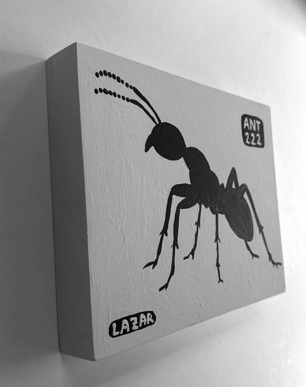 Ant #222