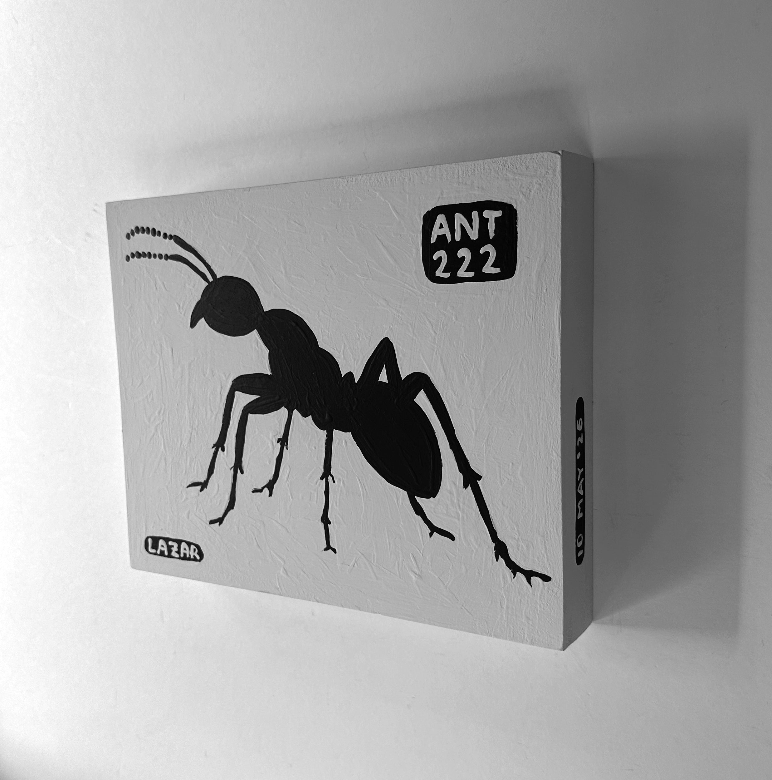 Ant #222