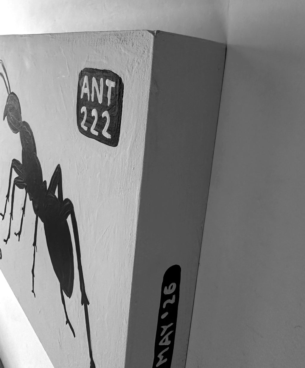 Ant #222