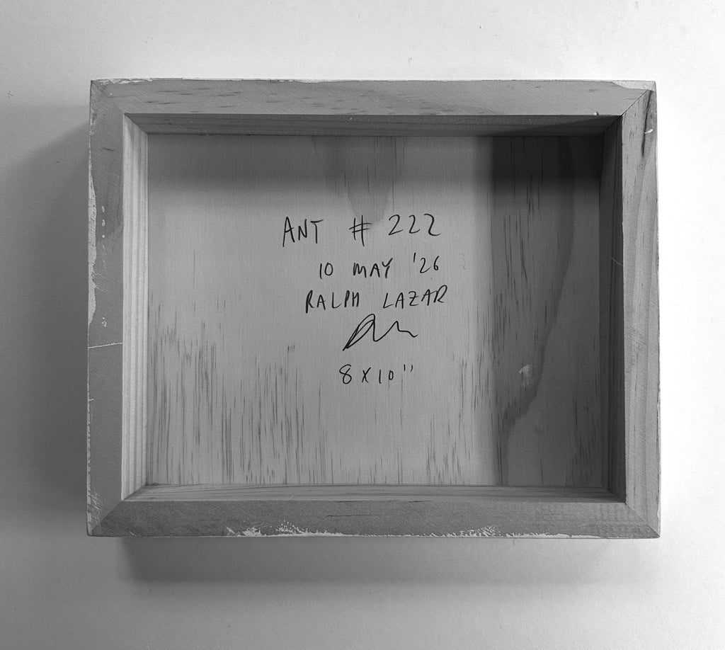 Ant #222