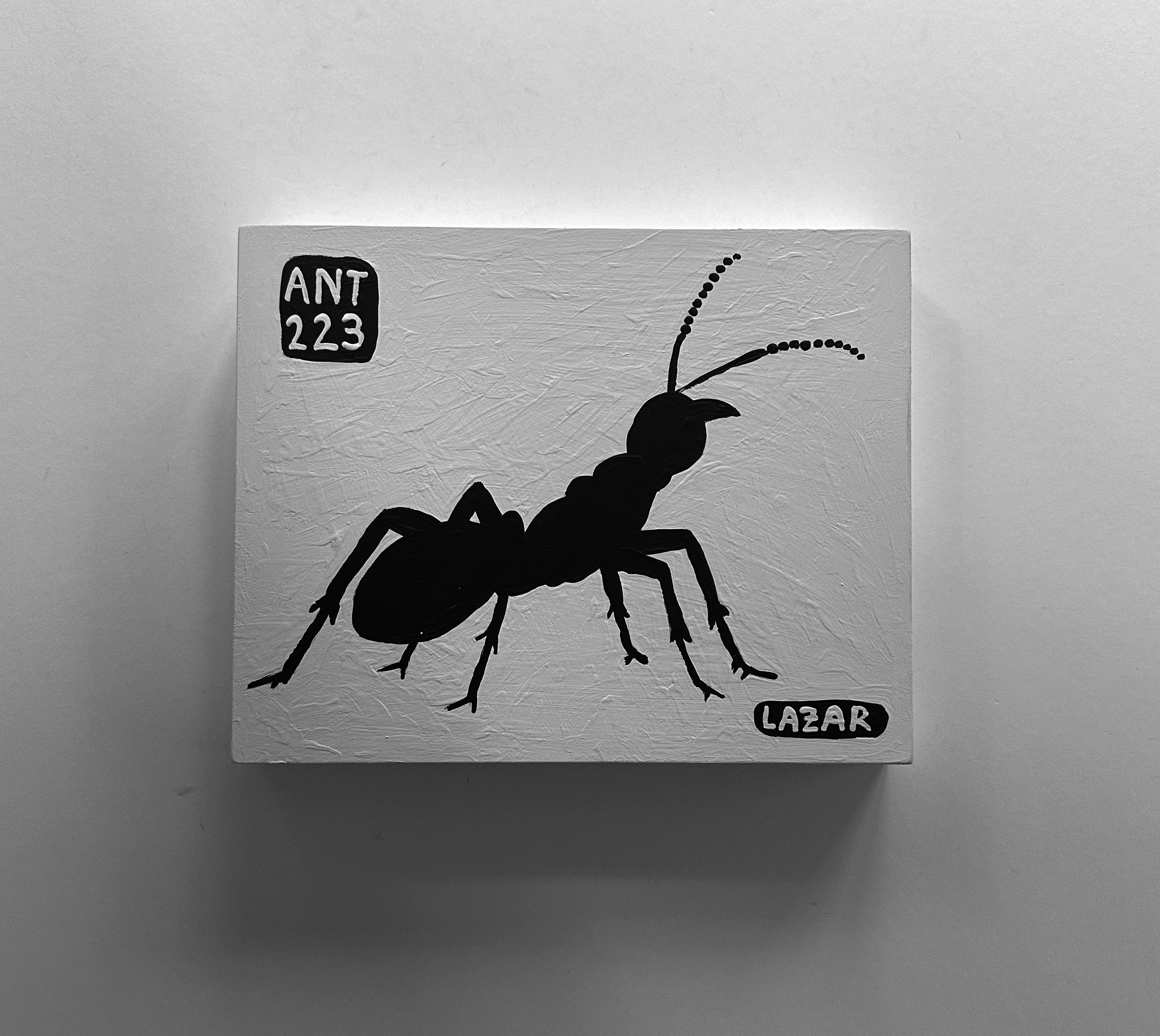 Ant #223
