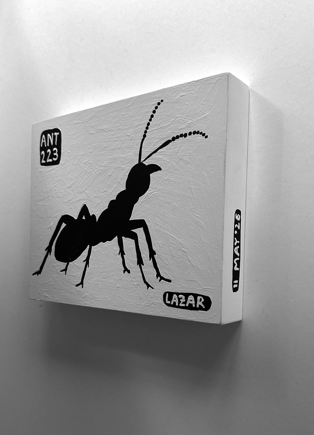 Ant #223