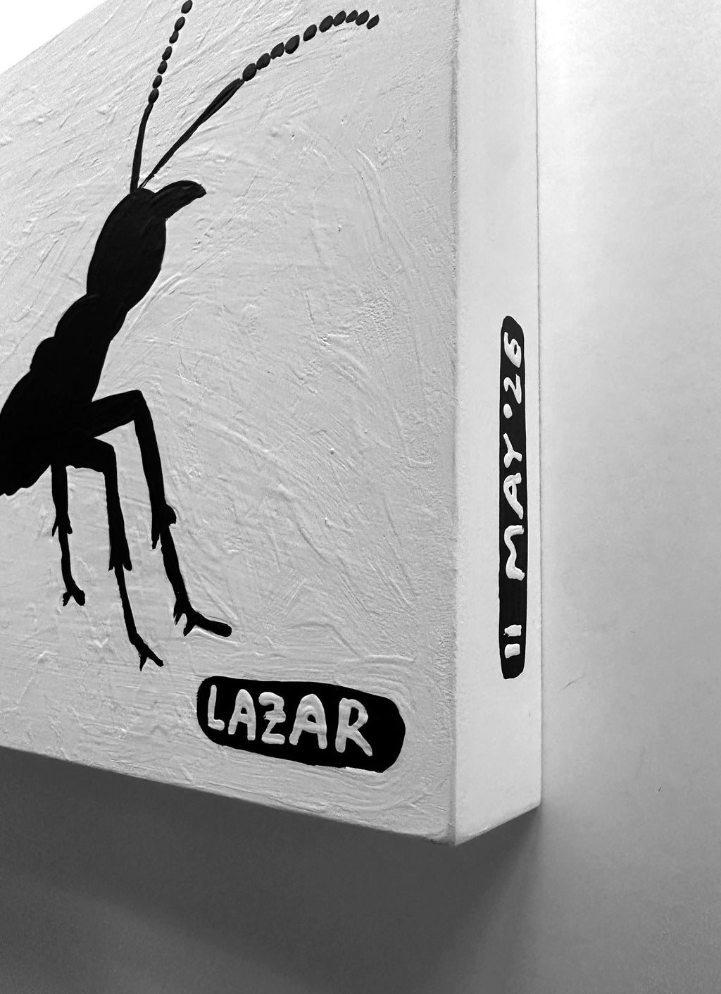Ant #223