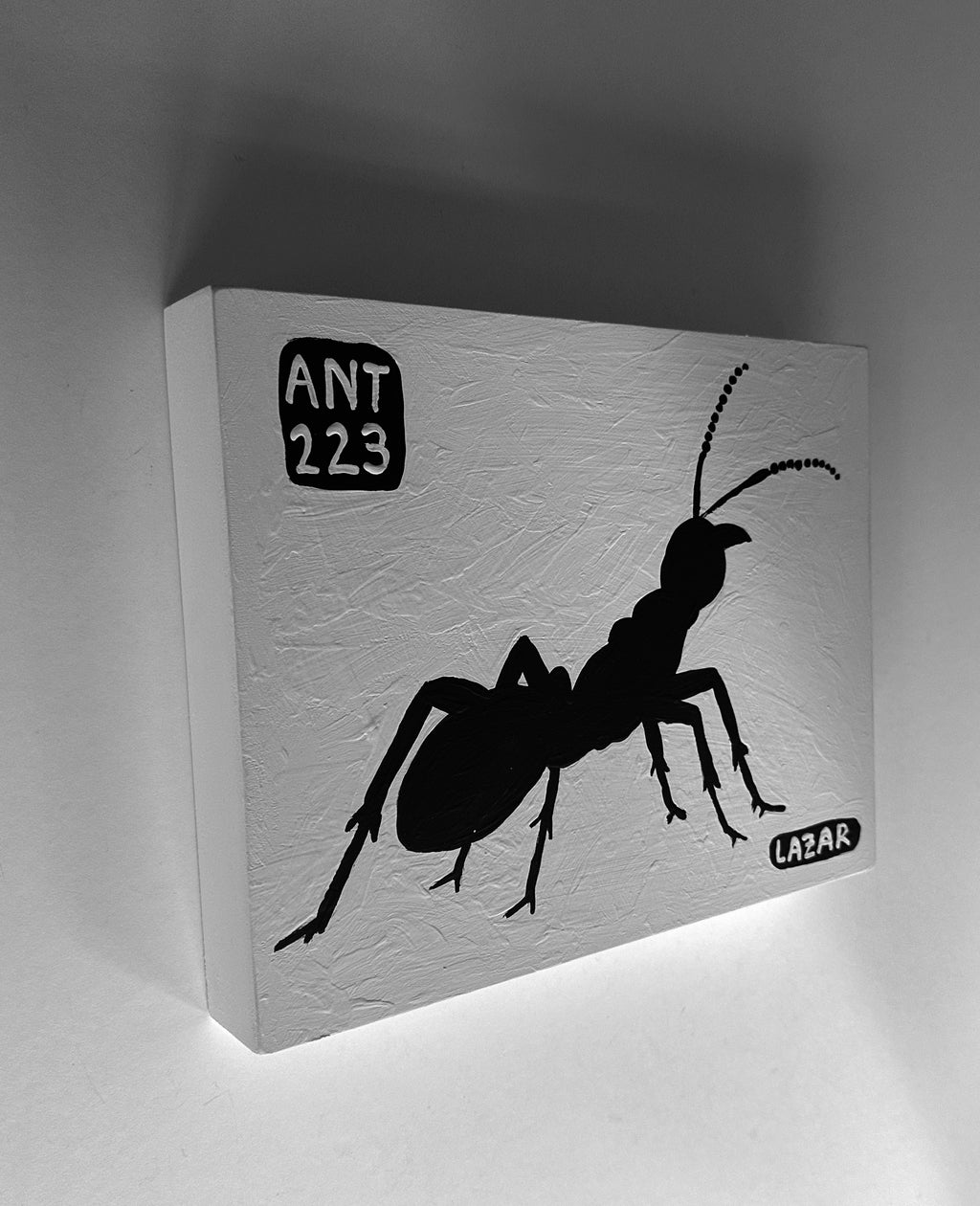 Ant #223