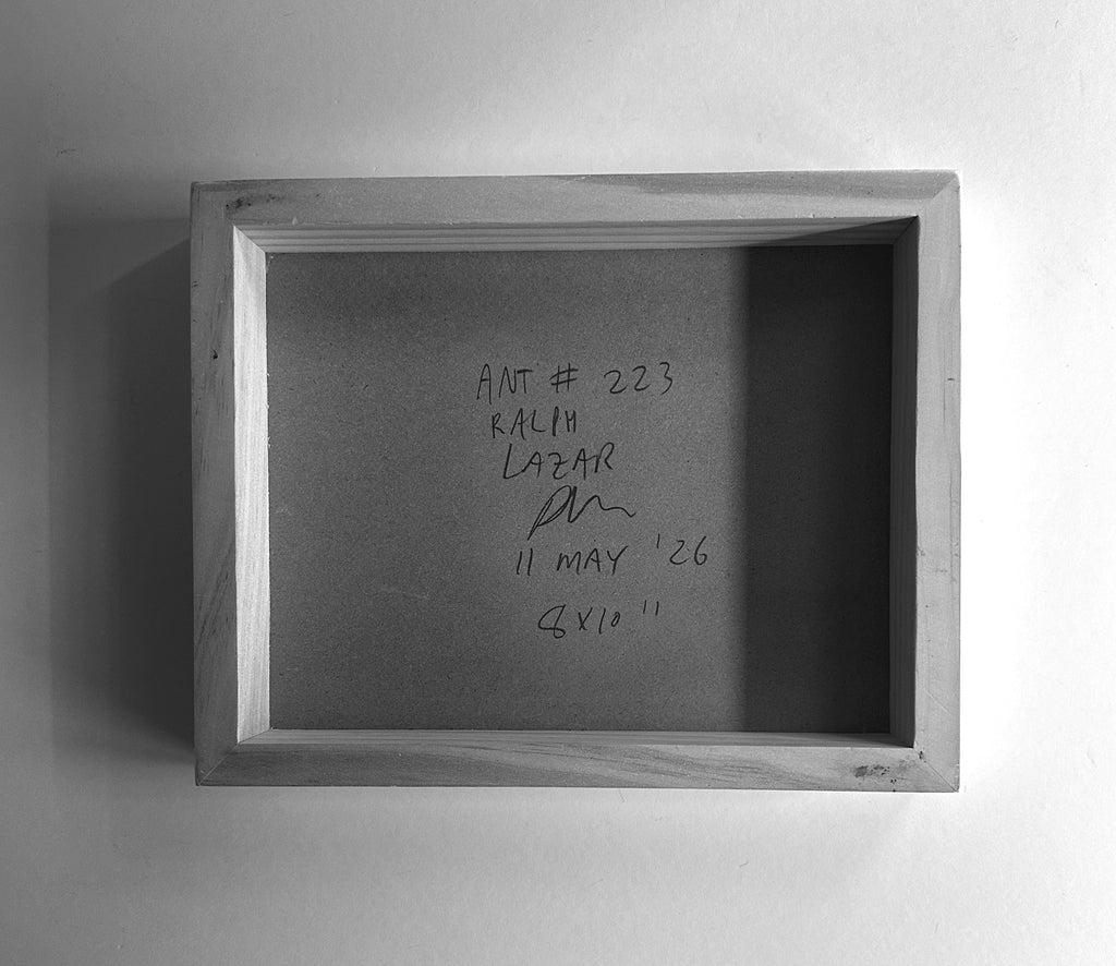 Ant #223