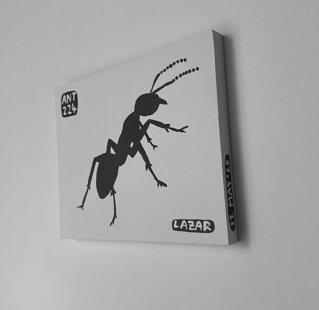 Ant #224