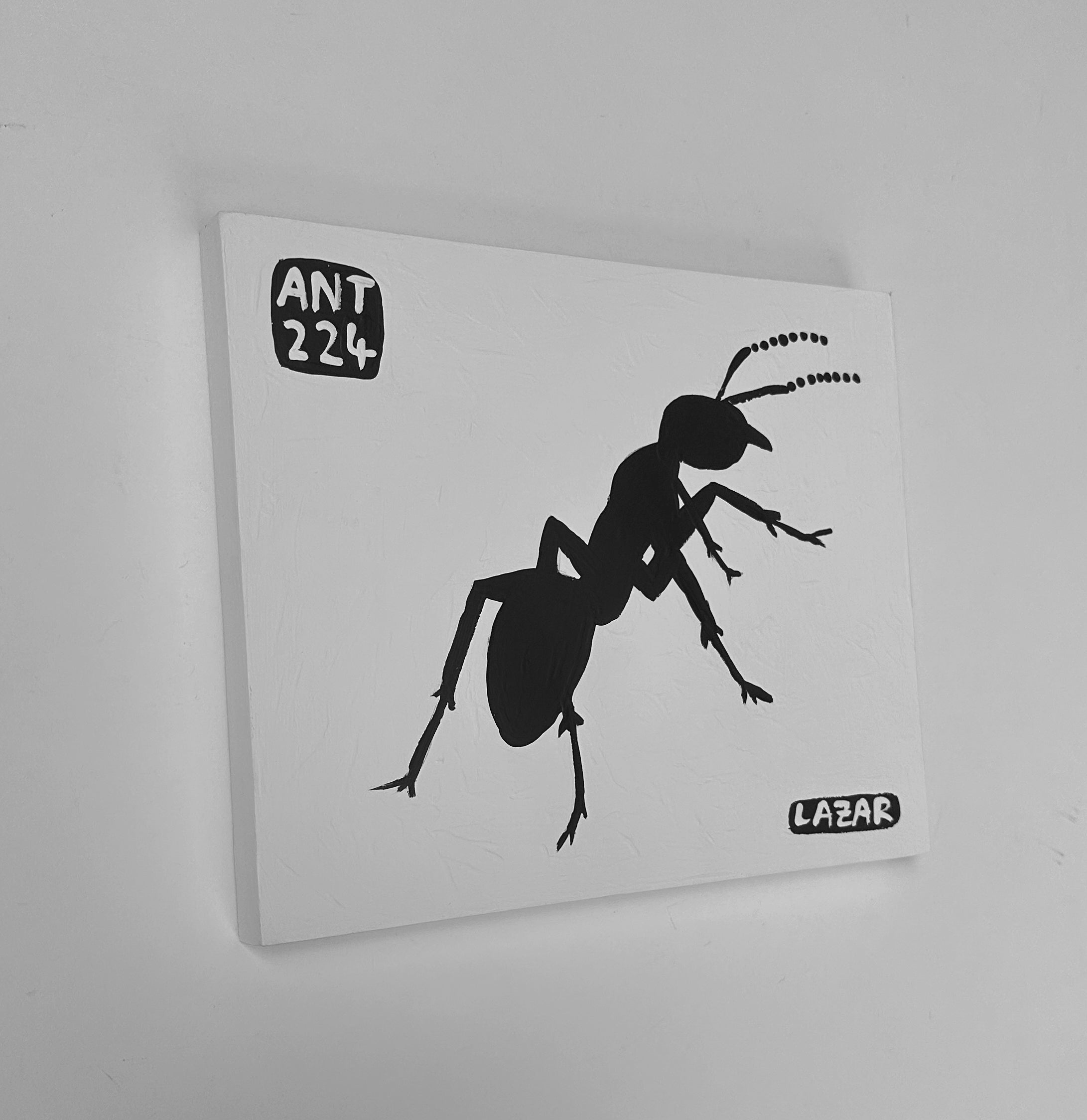 Ant #224