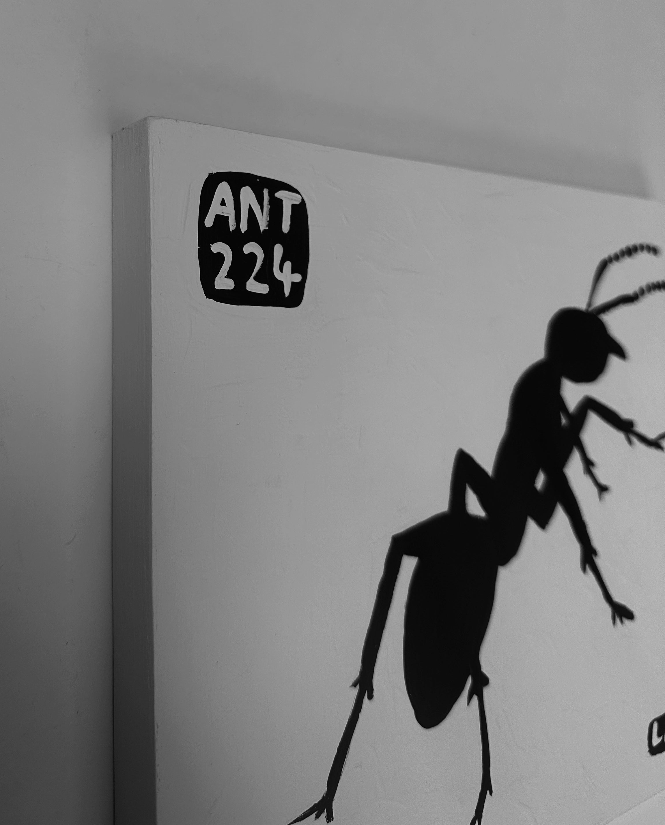 Ant #224