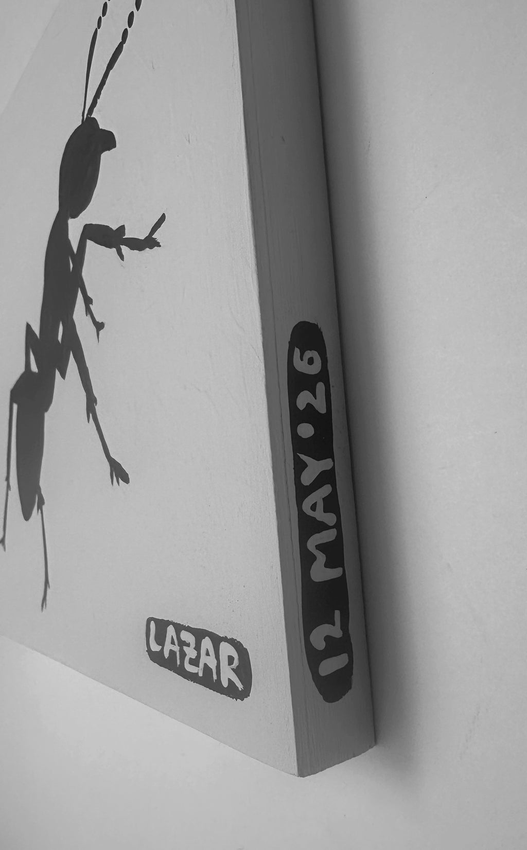Ant #224