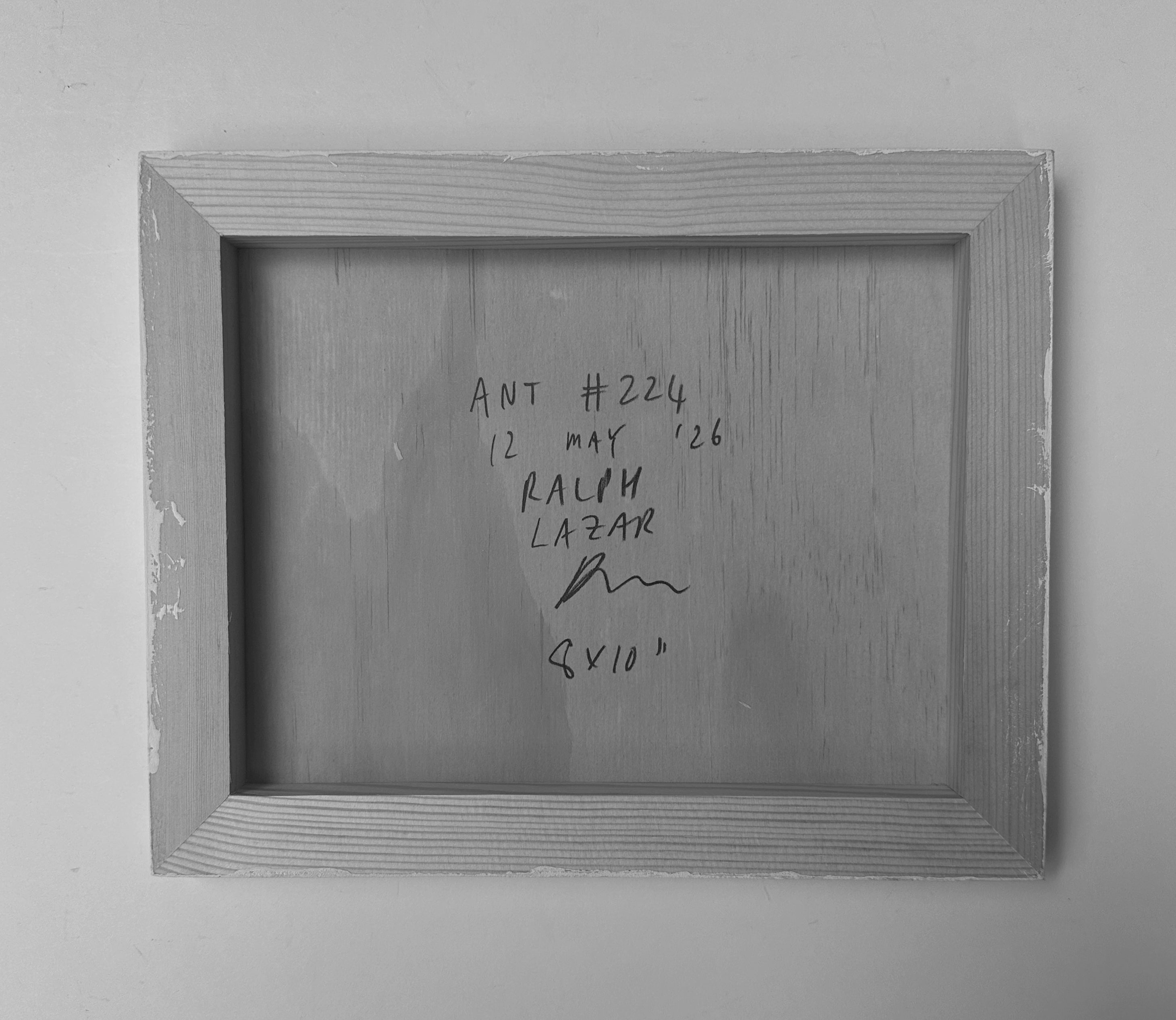 Ant #224