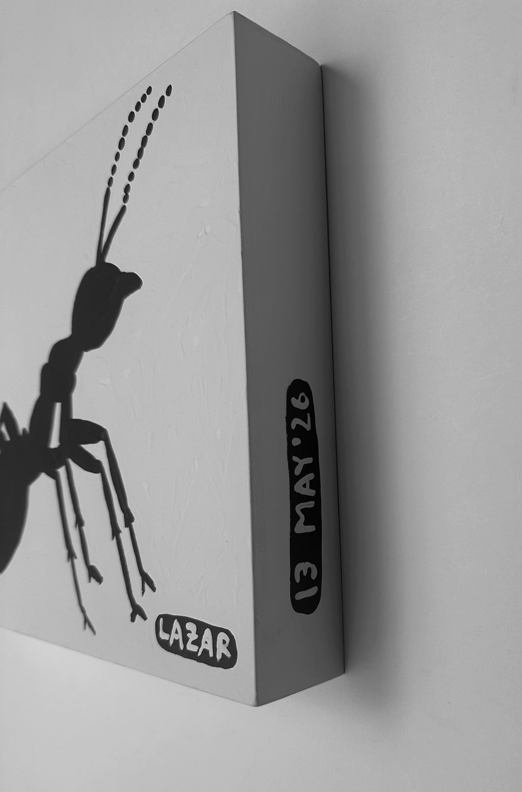 Ant #225