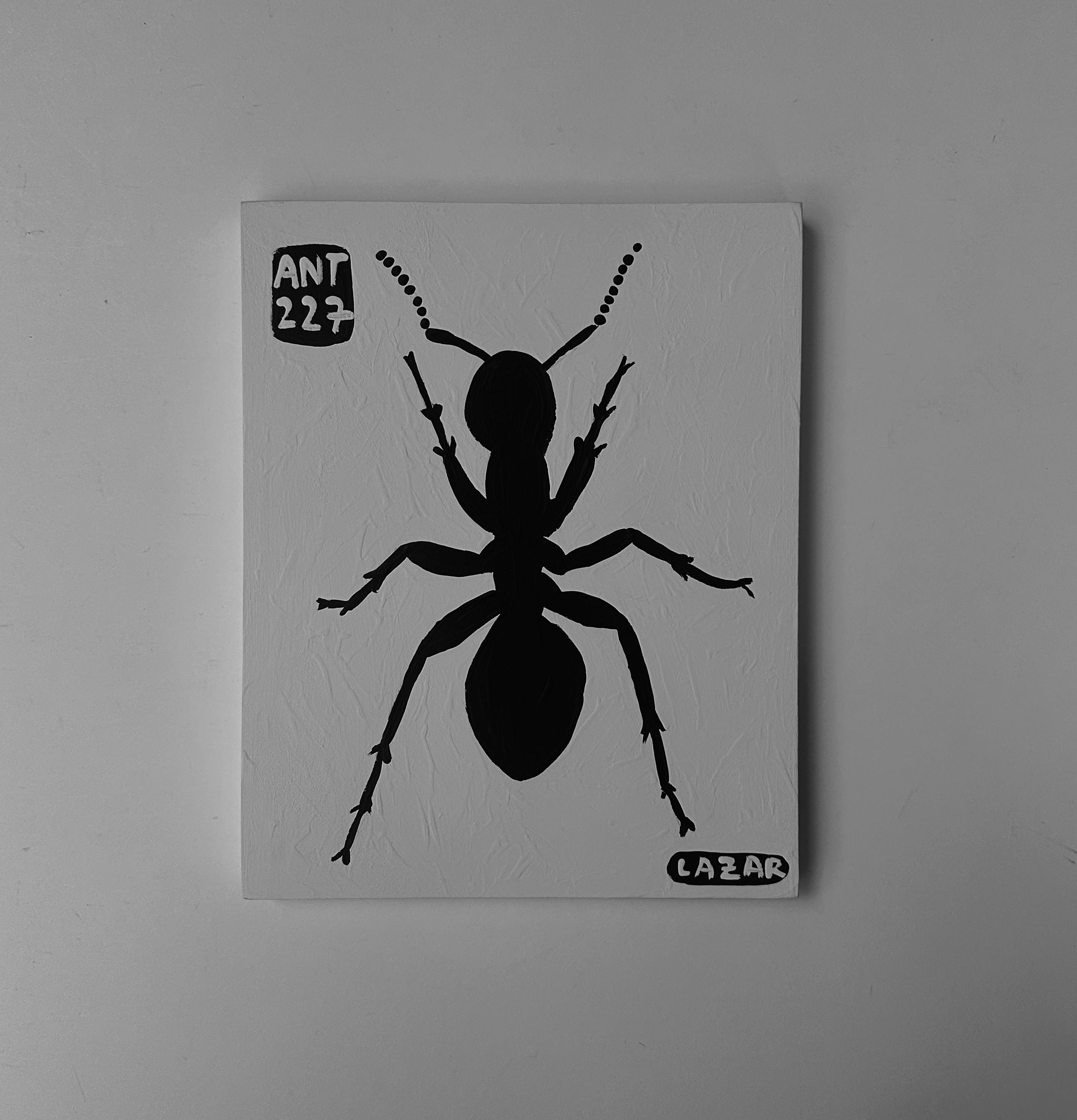 Ant #227