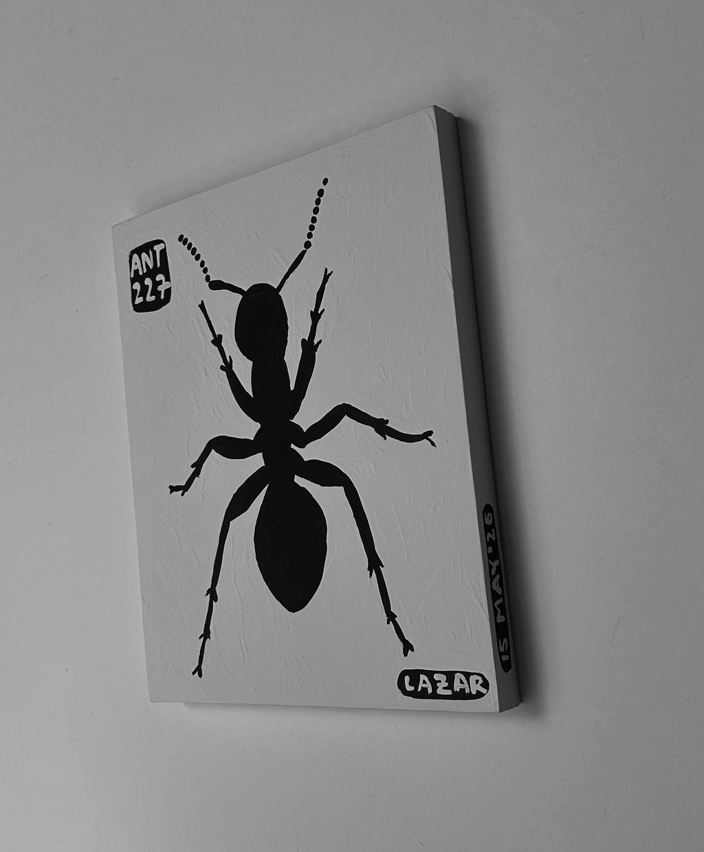 Ant #227