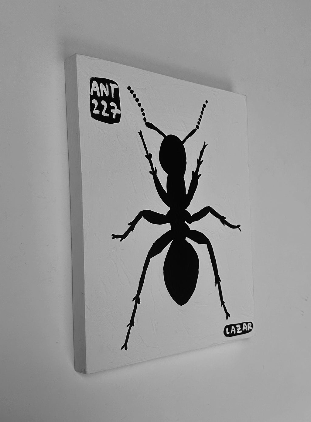 Ant #227