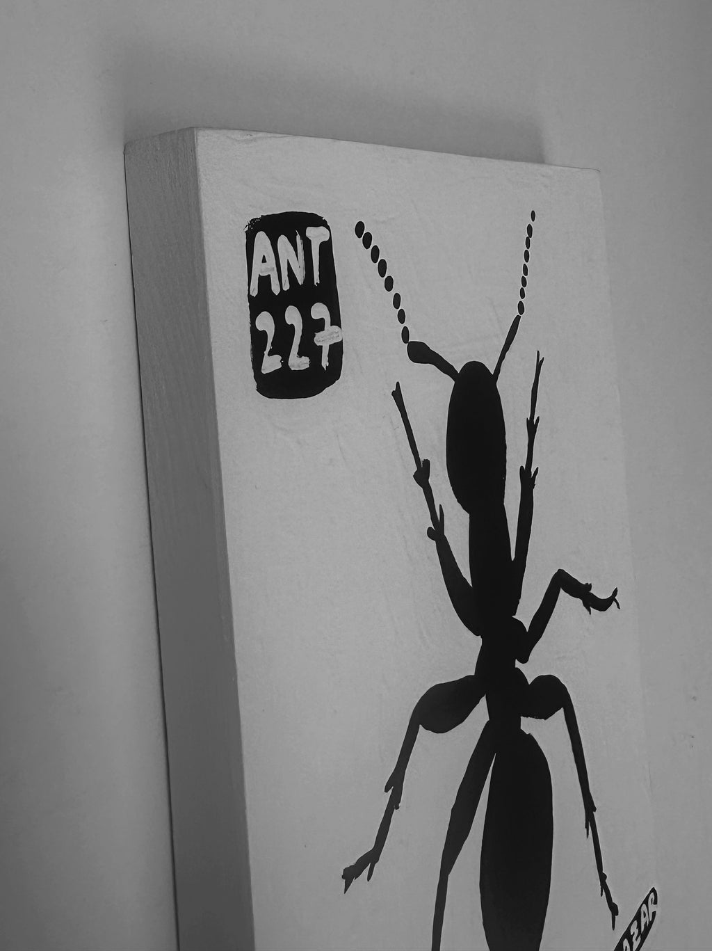 Ant #227
