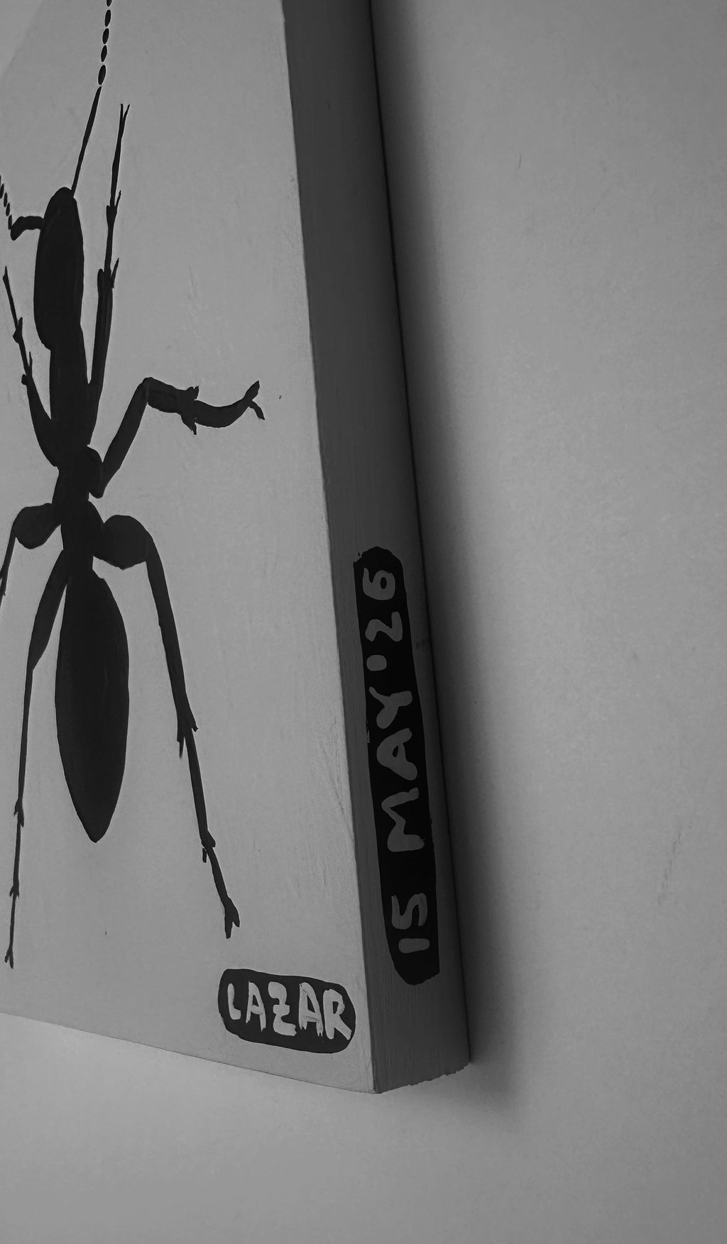 Ant #227