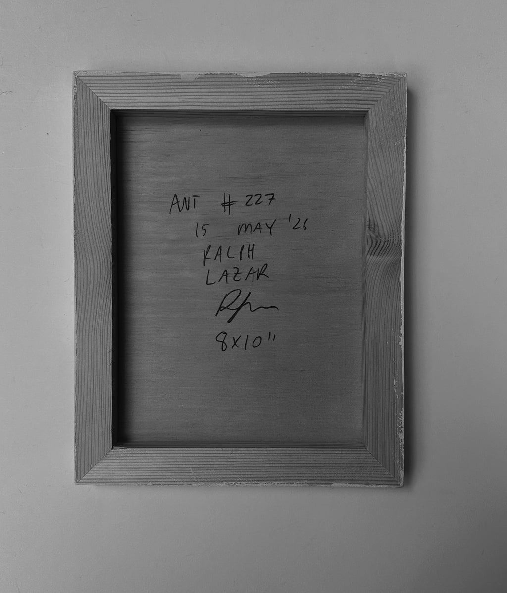 Ant #227