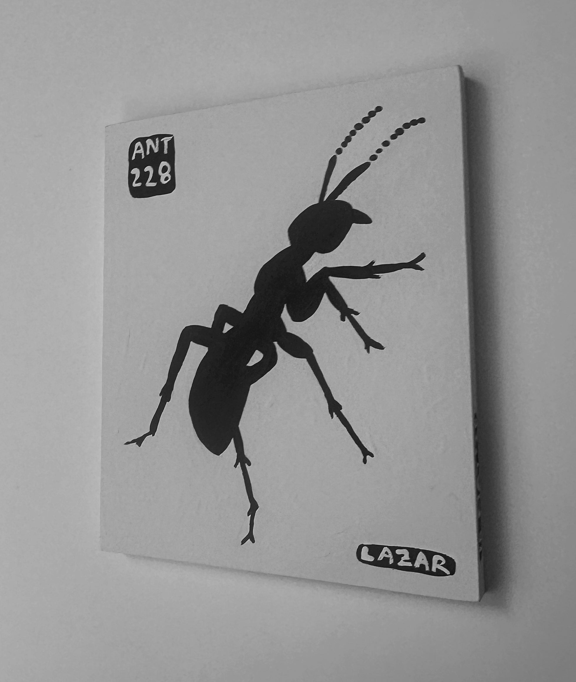 Ant #228