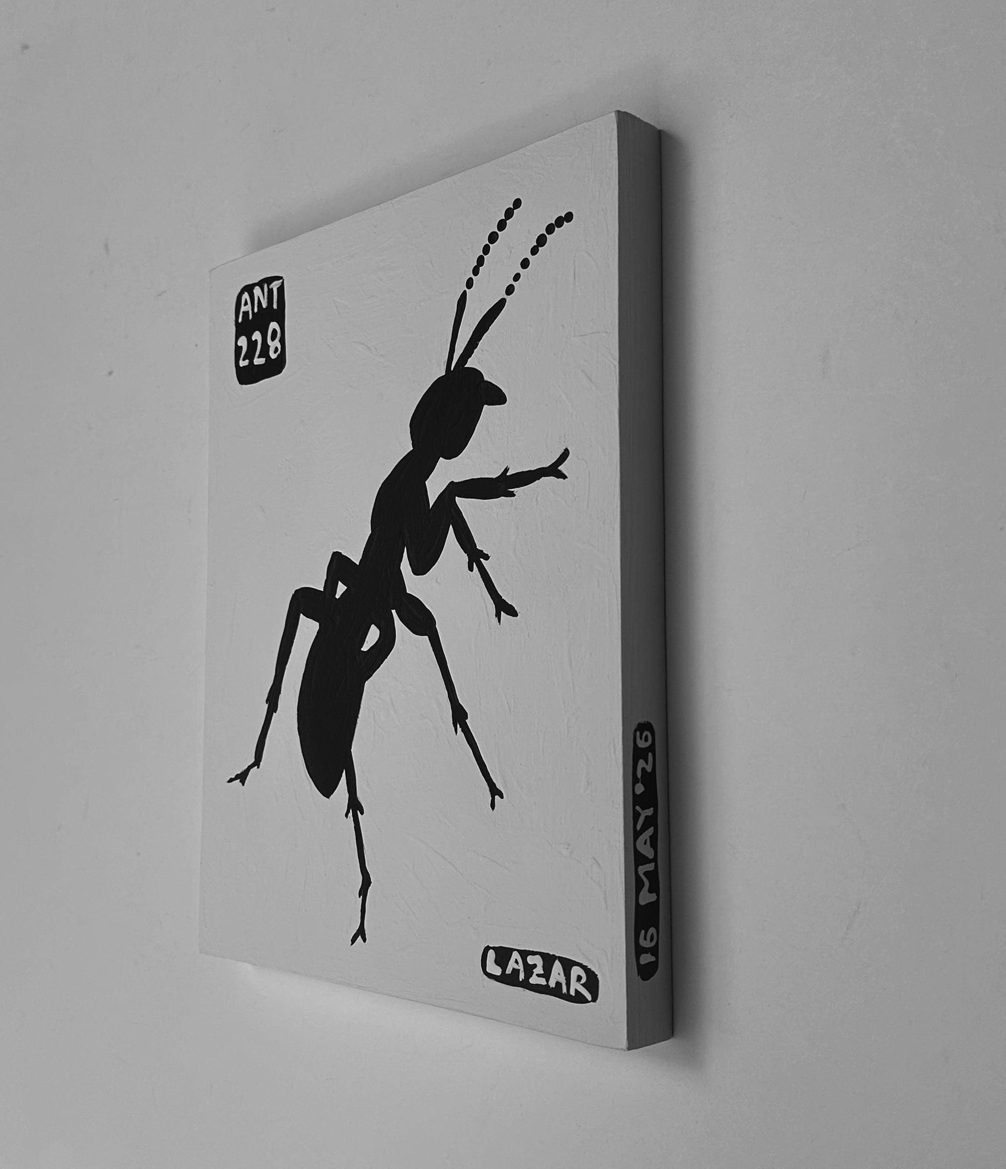 Ant #228