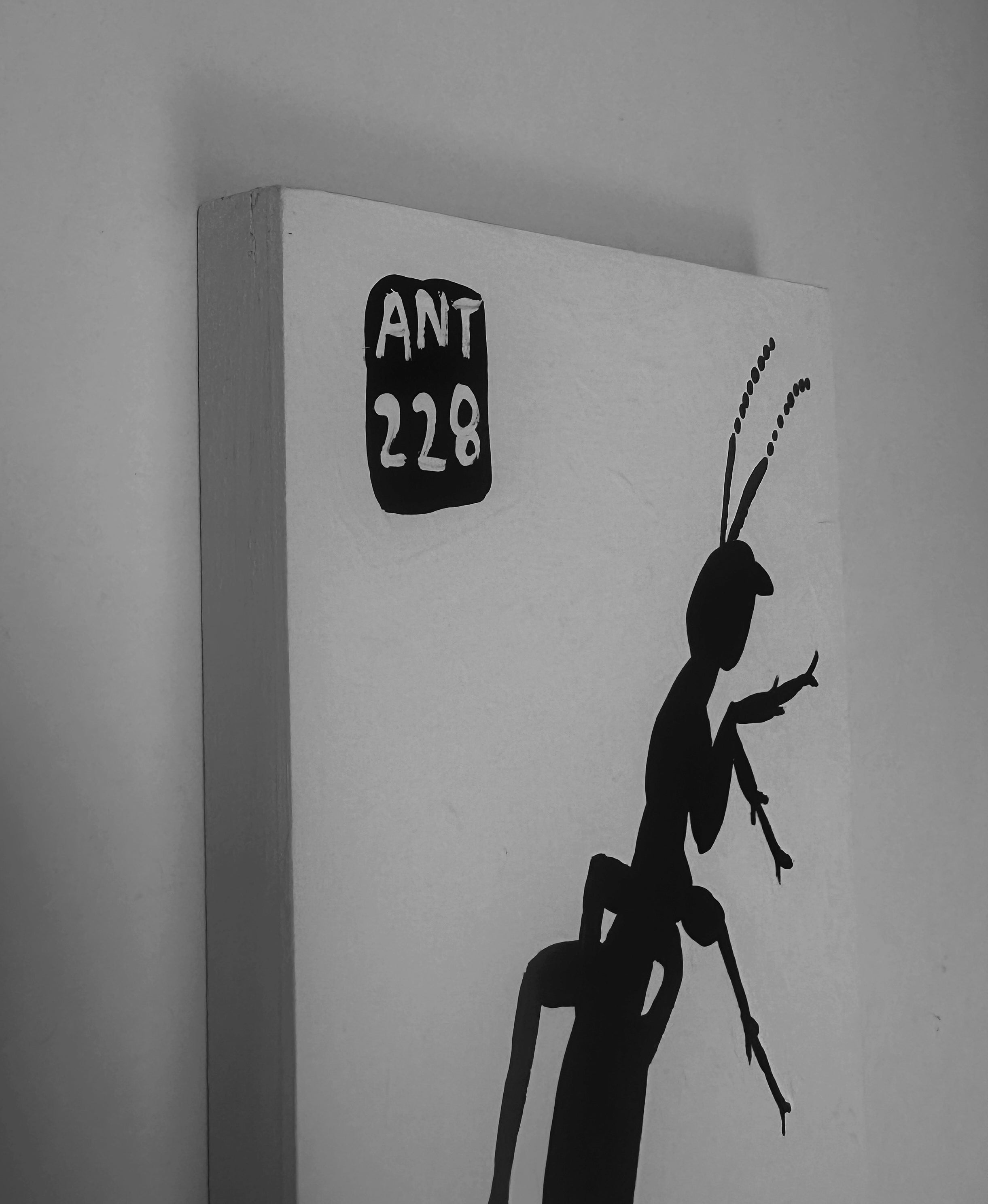 Ant #228