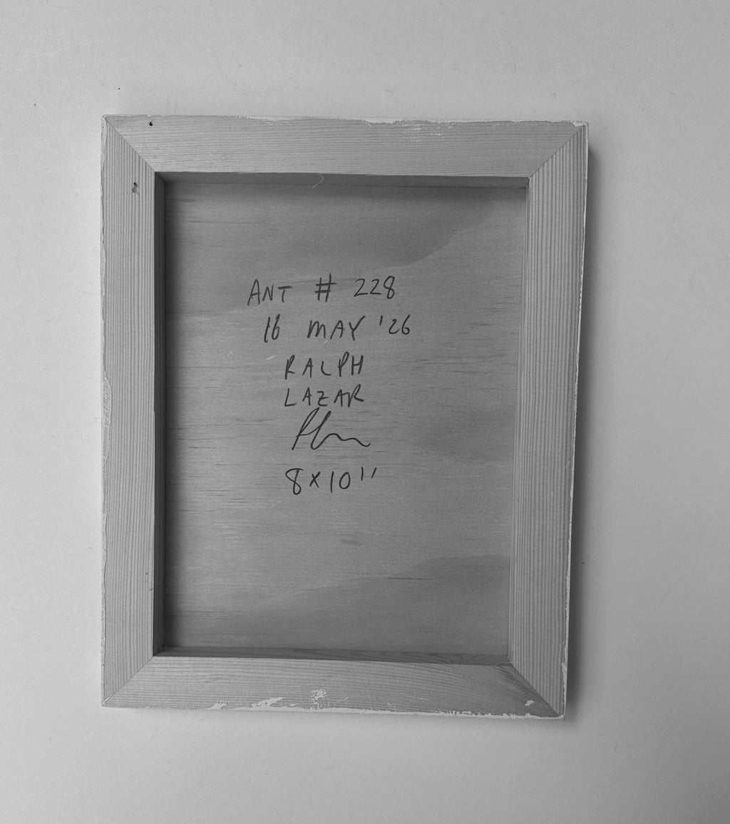 Ant #228