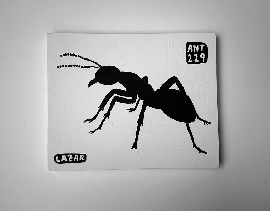 Ant #229