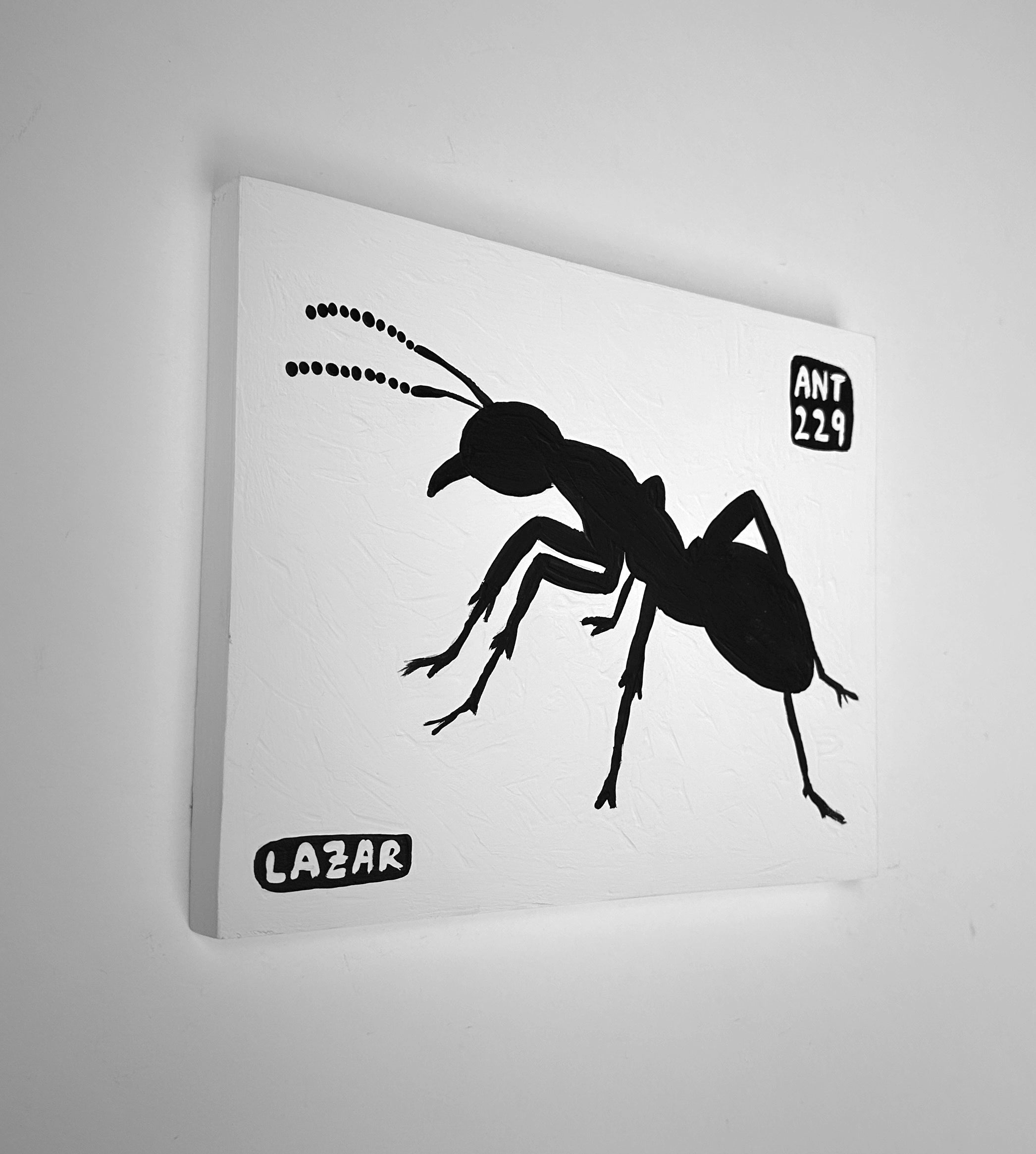 Ant #229