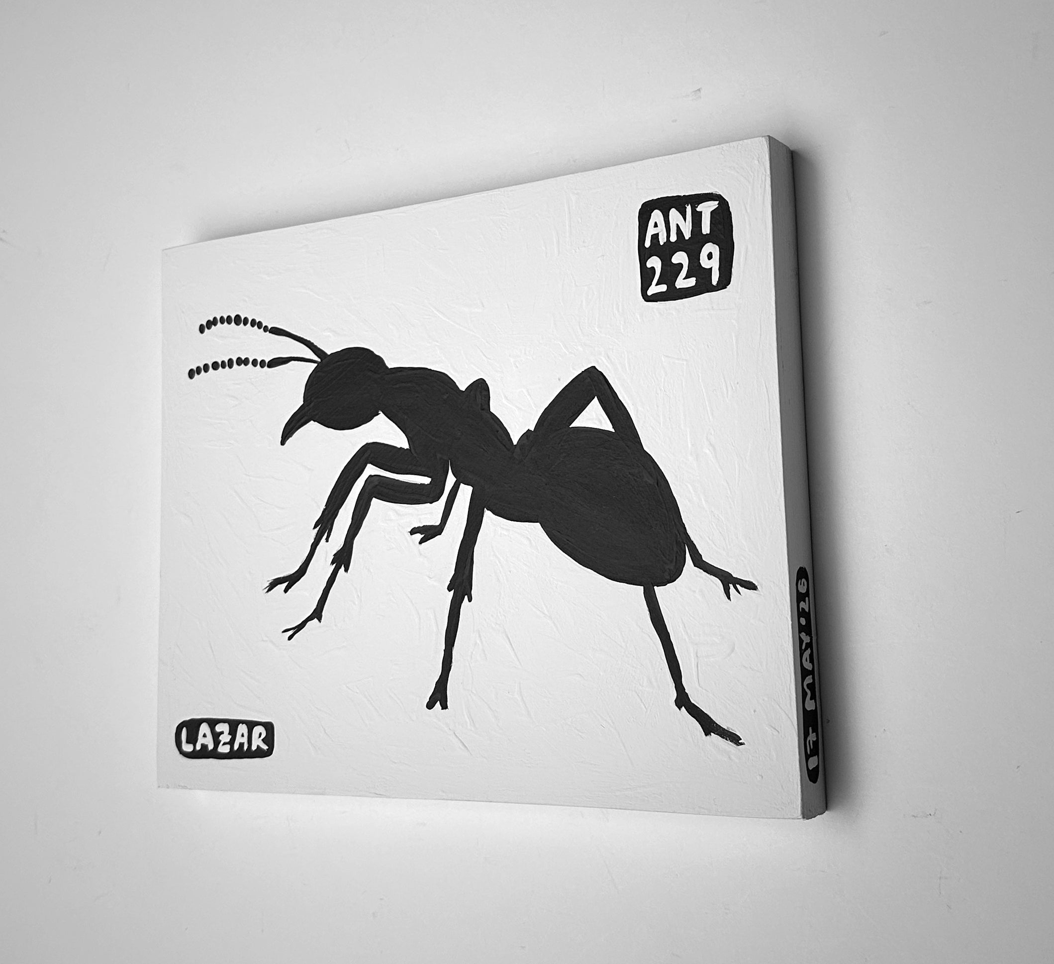 Ant #229