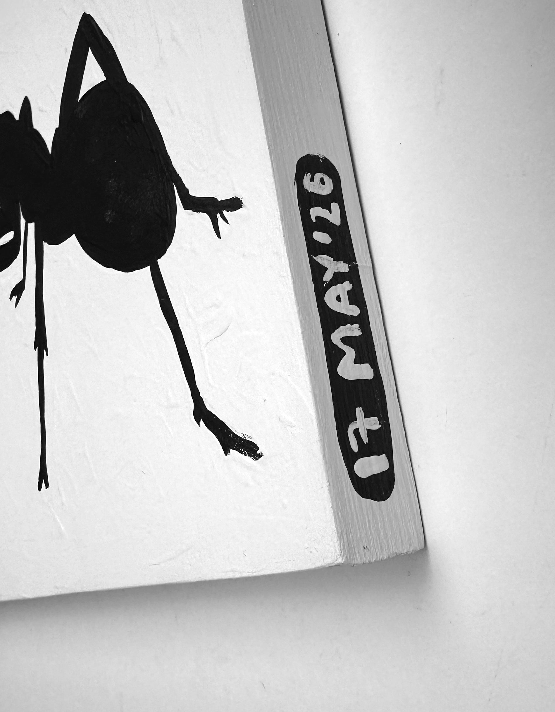 Ant #229