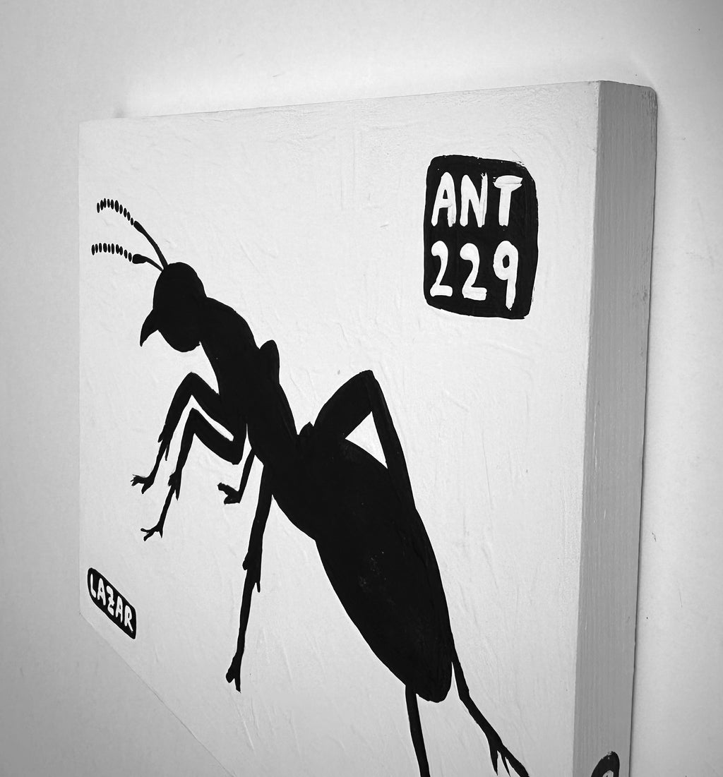 Ant #229