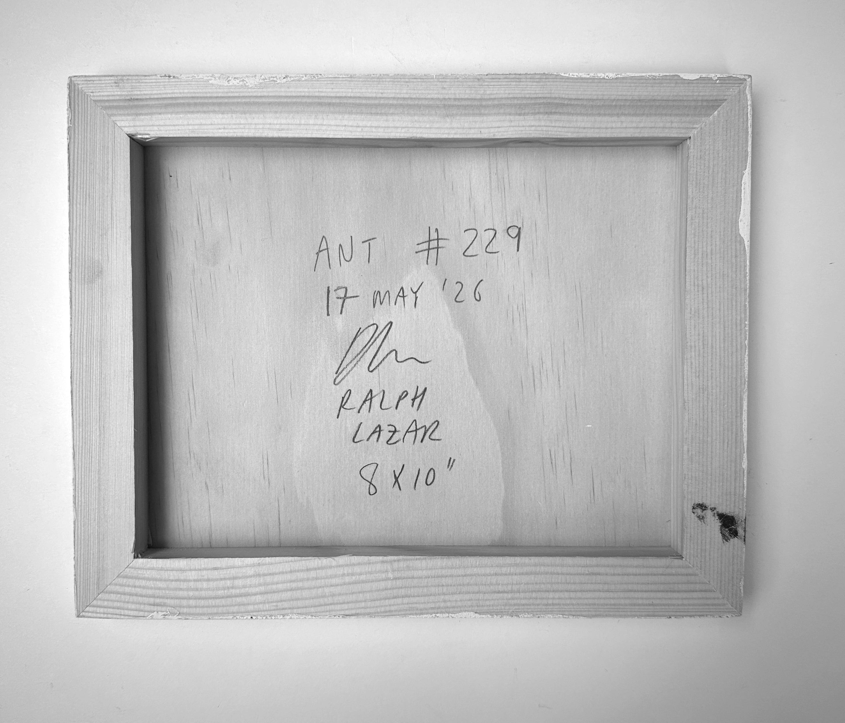 Ant #229