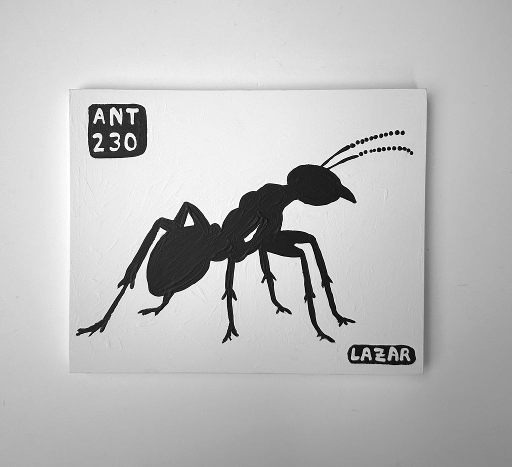 Ant #230
