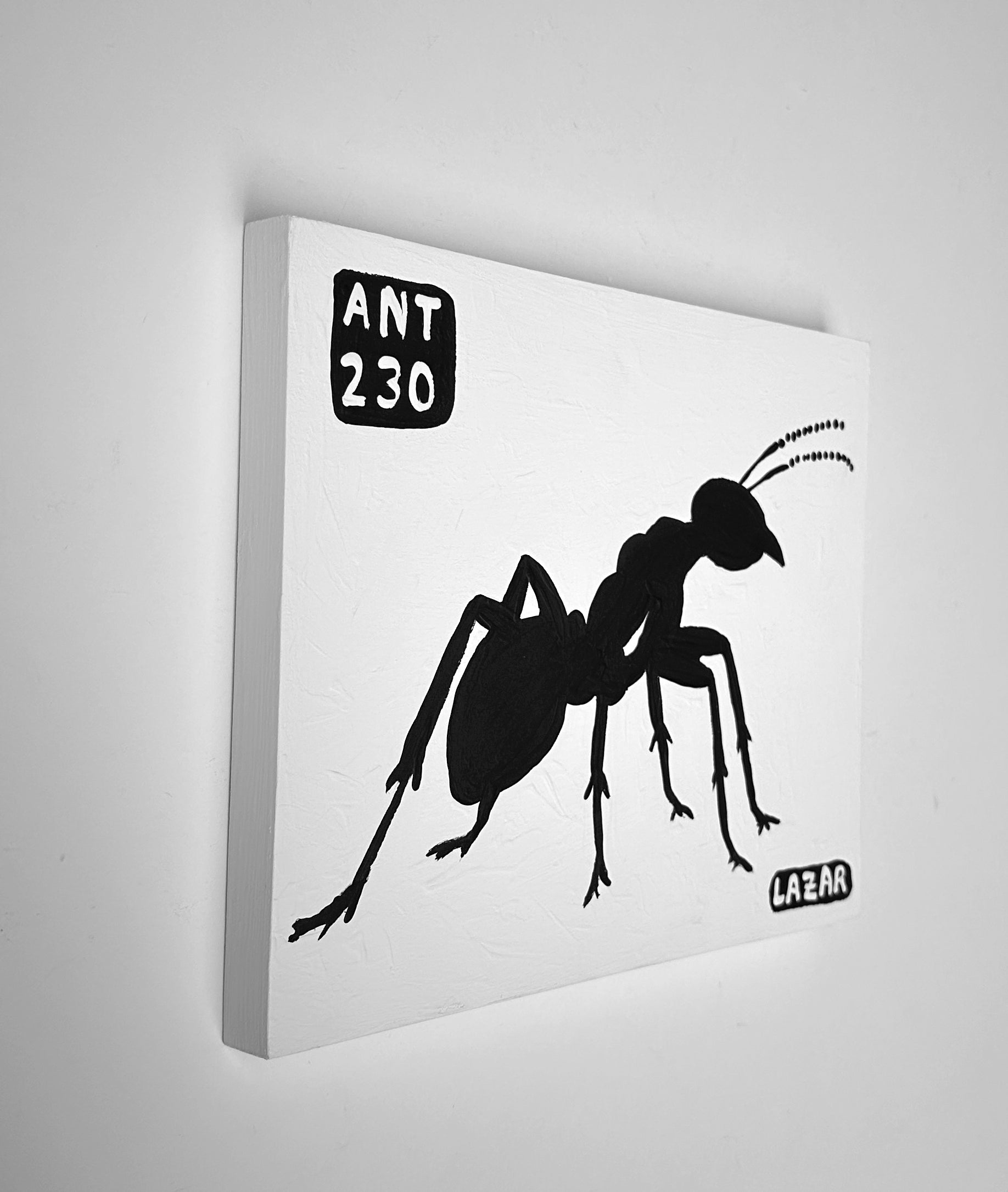 Ant #230