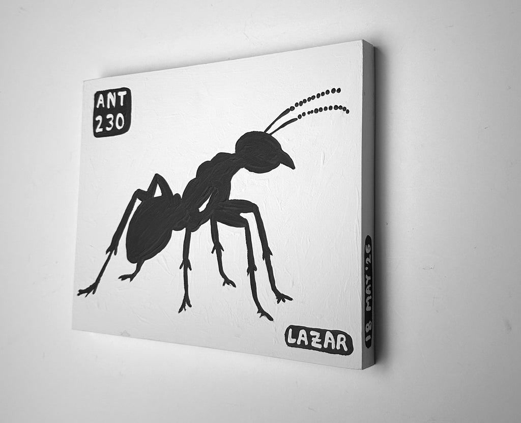 Ant #230