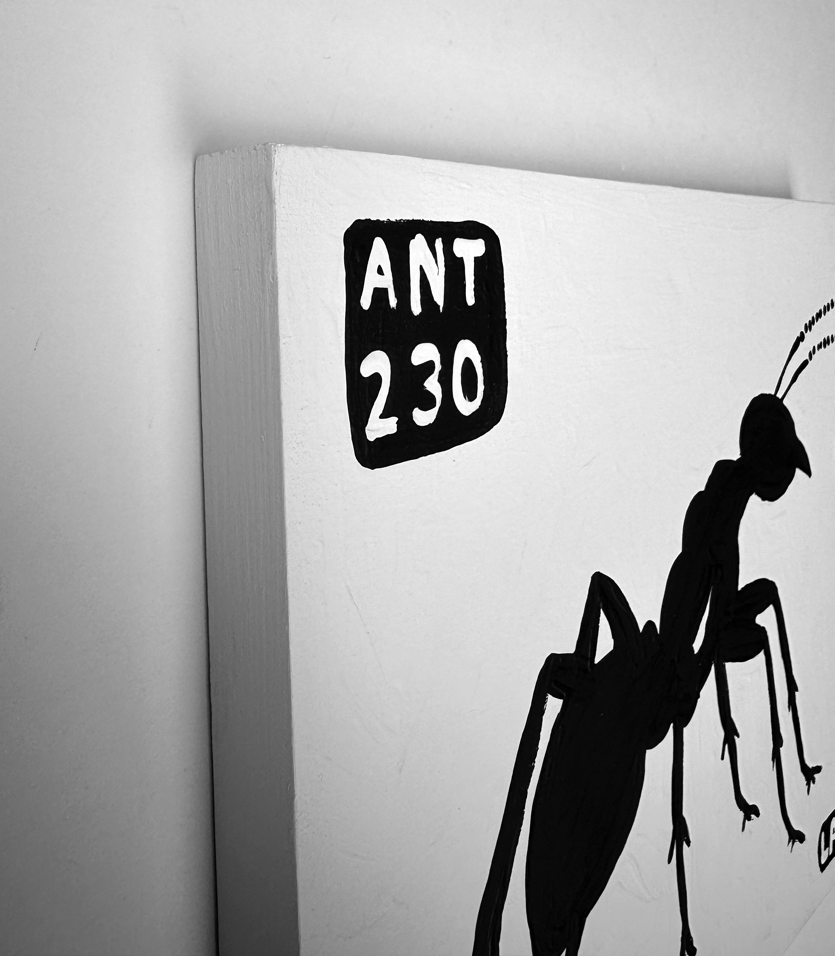 Ant #230