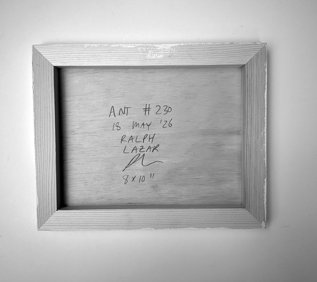 Ant #230