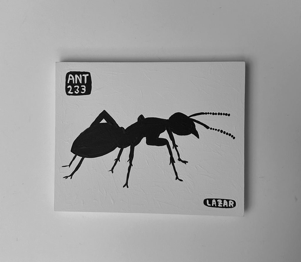 Ant #233